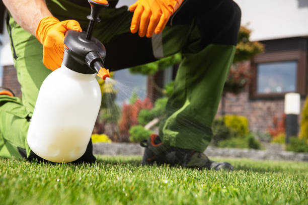 Best Pest Control for Homes  in Lake City, AR