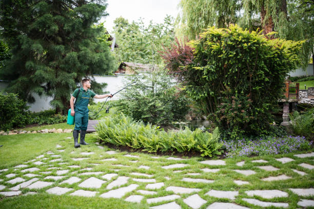 Best Best Pest Control Companies  in Lake City, AR