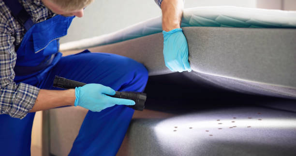 Trusted Lake City, AR Pest Control Experts