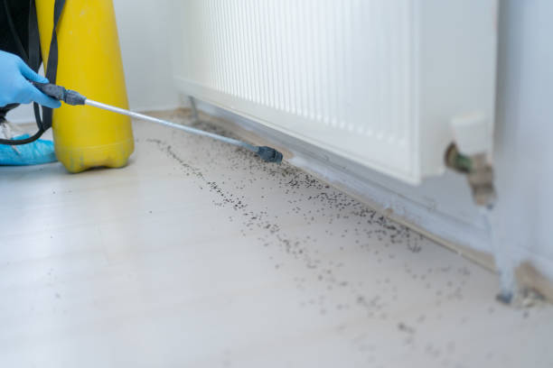 Best Pest Inspection Near Me  in Lake City, AR